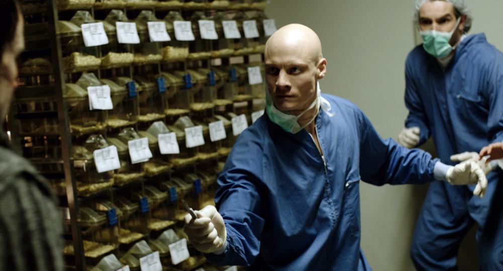 Watch Errors Of The Human Body Mediafire