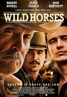 Wild Horses