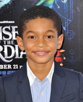 Sayeed Shahidi at arrivals for AFI FEST 2012 Premiere of RISE OF THE GUARDIANS in 3D, Grauman''s Chinese Theatre, Los Angeles, CA November 4, 2012. Photo By: Dee Cercone/Everett Collection