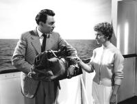 AN ALLIGATOR NAMED DAISY, Donald Sinden, Jean Carson, 1955