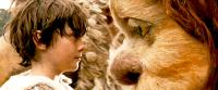 WHERE THE WILD THINGS ARE, Max Records (left), 2009. ©Warner Bros.