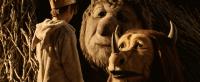 WHERE THE WILD THINGS ARE, from left: Max Records, Ira (voice: Forest Whitaker), Judith (voice: Catherine O'Hara), 2009. ©Warner Bros.