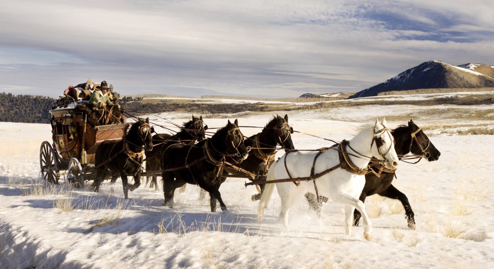 THE HATEFUL EIGHT, James Parks, 2015. ph: Andrew Cooper/© The Weinstein Company