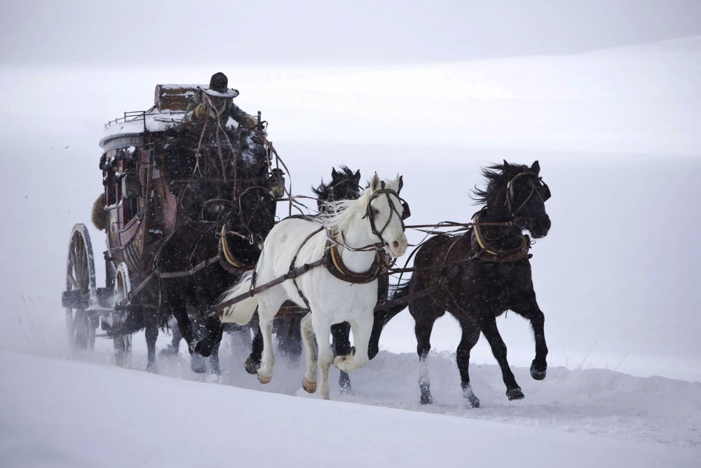 THE HATEFUL EIGHT, James Parks, 2015. ph: Andrew Cooper/© The Weinstein Company