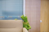 The Muppets, Steve Whitmire, 'Generally Inhospitable', Season 1, Ep. #15, 03/01/2016, ©ABC