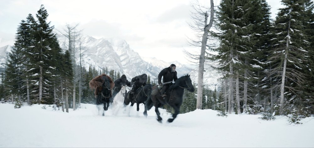 WAR FOR THE PLANET OF THE APES, 2017. TM AND COPYRIGHT © 20TH CENTURY FOX FILM CORP. ALL RIGHTS RESERVED.