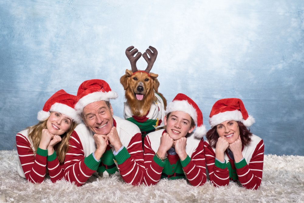 WHY HIM?, FROM LEFT: ZOEY DEUTCH, BRYAN CRANSTON, GRIFFIN GLUCK, MEGAN MULLALLY, 2016. PH: SCOTT GARFIELD/TM AND COPYRIGHT © 20TH CENTURY FOX. ALL RIGHTS RESERVED.