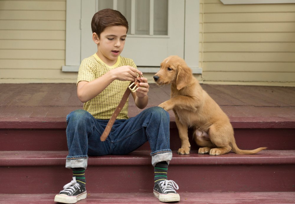 A DOG'S PURPOSE, BRYCE GHEISAR, 2017. PH: JOE LEDERER/© UNIVERSAL PICTURES