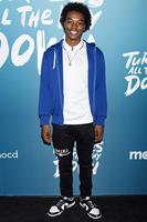 Maliq Johnson attends 'Turtles All The Way Down' Advanced Screening, Los Angeles, California, USA - 27 Apr 2024. Mandatory Credit: Photo by AFF-USA/Shutterstock (14453171ba).