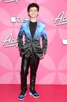 Raphael Alejandro'Acapulco: Season 2' Premiere, Los Angeles, California, USA - 13 Oct 2022, Mandatory Credit: Photo by Kathy Hutchins/Shutterstock (13464592j)