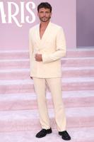 Arnaud Binard attends 'Emily in Paris' Season 4 Part 1 Premiere, Los Angeles, USA - 14 Aug 2024,Mandatory Credit: Photo by John Salangsang/Shutterstock (14635419bs)