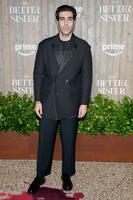 Bobby Naderi attends attends Prime Video's 'The Better Sister' New York Premiere at Museum of Modern ArtPrime Video's 'The Better Sister' Series Premiere, New York, USA - 20 May 2025 Mandatory Credit: Photo by Adela Loconte/Shutterstock (15311272ak)