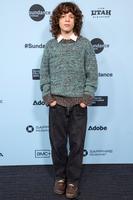 Woody Norman'Sukkwan Island' premiere, Sundance Film Festival, Park City, Utah, USA - 25 Jan 2025 Mandatory Credit: Photo by Robin Marshall/Shutterstock for Sundance Film Festival (15117694g)
