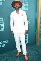 Robert Christopher Riley attends 'Divorced Sistas' Premiere, Los Angeles, California, USA - 06 Jun 2025, Mandatory Credit: Photo by Ray Tamarra/Soul B Photos/Shutterstock (15344512ck).
