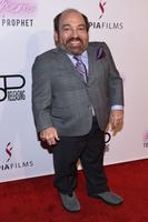 Danny Woodburn'Anthem of a Teenage Prophet' film premiere, Los Angeles, USA - 10 Jan 2019 Mandatory Credit: Photo by Billy Bennight/ZUMA Wire/Shutterstock (10054182e)