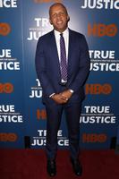 Bryan Stevenson attends HBO Documentary Films Presents the New York Premiere of 'TRUE JUSTICE: BRYAN STEVENSON'S FIGHT FOR EQUALITY', New York, USA - 24 Jun 2019, Mandatory Credit: Photo by Kristina Bumphrey/StarPix/Shutterstock (10320755ax).
