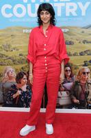 Sunita Mani'Wine Country' film premiere, Arrivals, The Paris Theater, New York, USA - 08 May 2019, Mandatory Credit: Photo by Ylmj/AdMedia via ZUMA Wire/Shutterstock (10234086j)