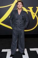 Froy Gutierrez'I Love LA' Film Premiere, Los Angeles, California, USA - 28 Oct 2025, Mandatory Credit: Photo by Chelsea Lauren/Shutterstock (15586029er)