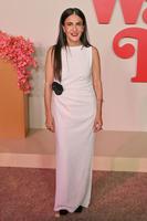 Jenni Konner'Nobody Wants This' Season 2 Premiere Event, Los Angeles, California, USA - 16 Oct 2025, Mandatory Credit: Photo by Rob Latour/Shutterstock (15543925dv)