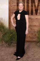 Colleen Hoover attends the premiere of Universal Pictures' 'Reminders Of Him' at Hollywood Legion Theater on March 09, 2026 in Los Angeles, California. (Photo by Brianna Bryson/WireImage) LOS ANGELES, CALIFORNIA - MARCH 09: