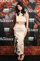 Lauren Tsai attends HBO's 'Rooster' New York premiere on March 03, 2026 in New York City. (Photo by Dia Dipasupil/Getty Images) NEW YORK, NEW YORK - MARCH 03: