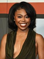 Gail Bean attends the Washington, DC screening of FX's 'The Drop: A Snowfall Saga'at National Museum Of African American History & Culture on September 01, 2026 in Washington, DC. (Photo by Shannon Finney/Getty Images) WASHINGTON, DC - SEPTEMBER 01: