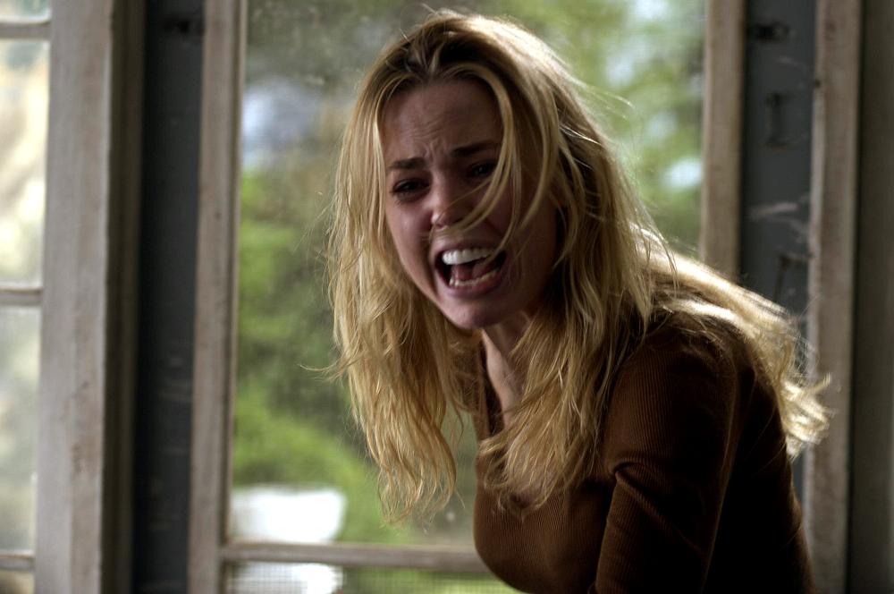 The Amityville Horror