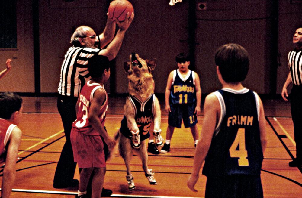 Air Bud A Family Favourites Presentation