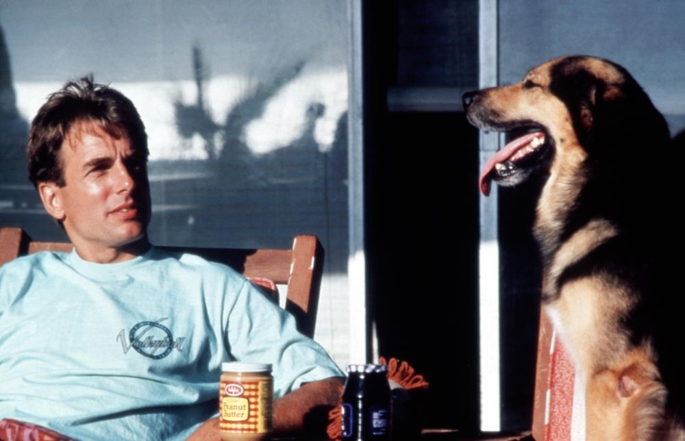 SUMMER SCHOOL, Mark Harmon, 1987. (c) Paramount Pictures.