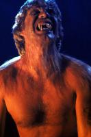 THE HOWLING, Christopher Stone, 1981, (c) Avco Embassy