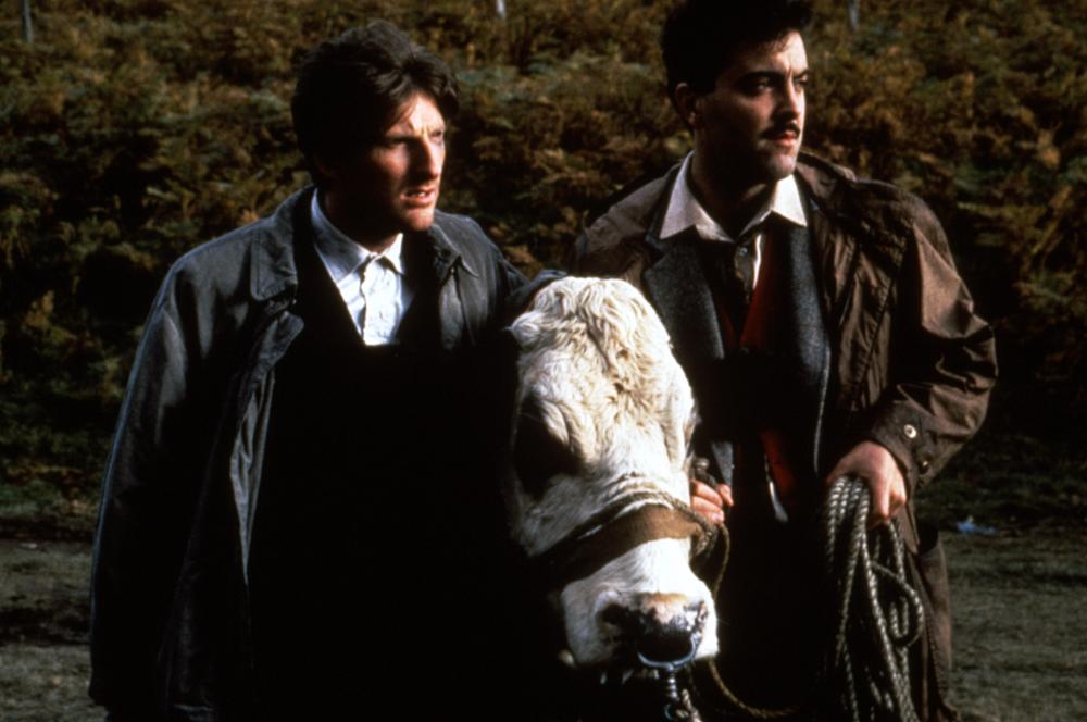HEAR MY SONG, Adrian Dunbar, James Nesbitt, 1991, (c)Miramax