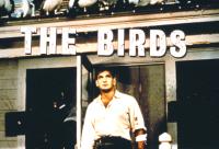 THE BIRDS, Rod Taylor, 1963