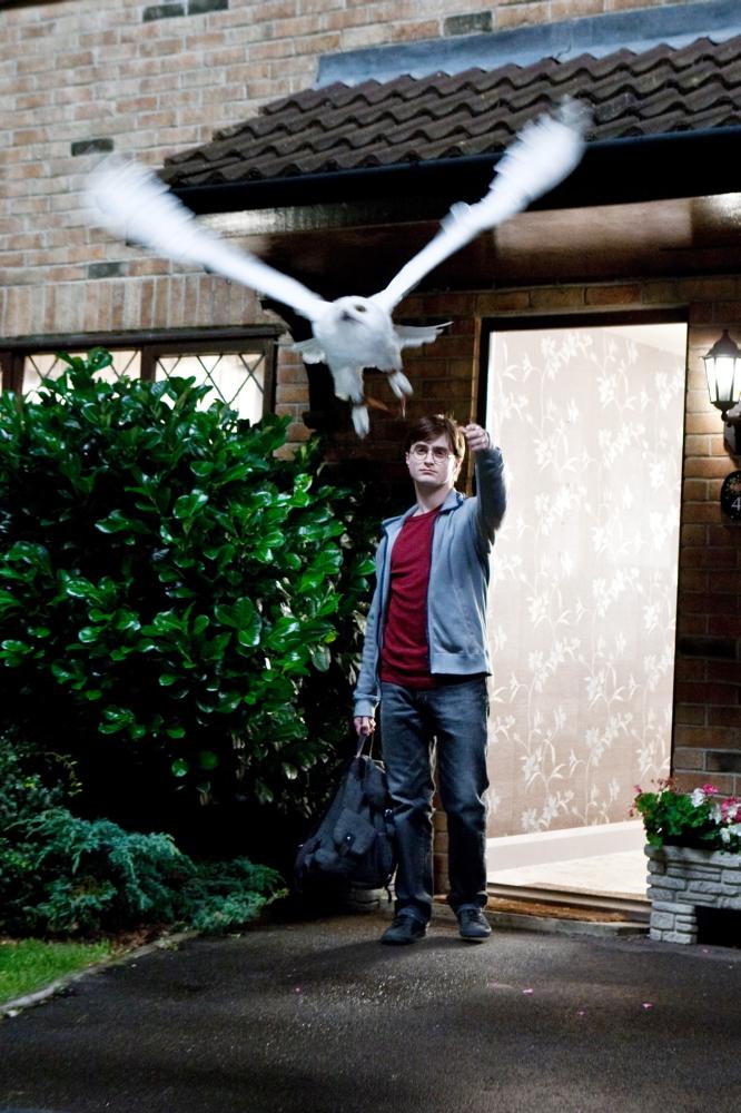 HARRY POTTER AND THE DEATHLY HALLOWS: PART 1, Daniel Radcliffe, 2010. ph: Jaap Buitendijk/©2010 Warner Bros. Ent. Harry Potter publishing rights ©J.K.R. Harry Potter characters, names and related indicia are trademarks of and ©Warner Bros. Ent. All rights