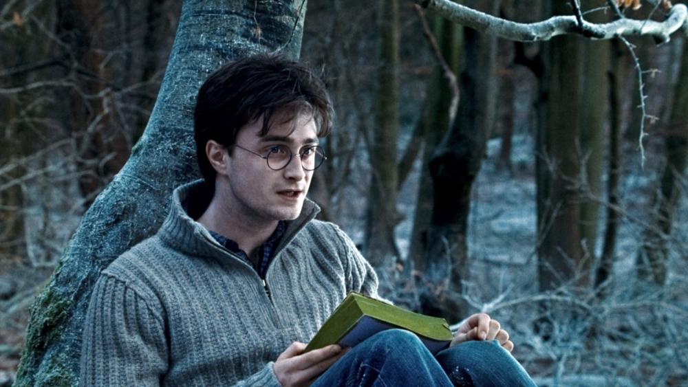 HARRY POTTER AND THE DEATHLY HALLOWS: PART 1, Daniel Radcliffe, 2010. ©2010 Warner Bros. Ent. Harry Potter publishing rights ©J.K.R. Harry Potter characters, names and related indicia are trademarks of and ©Warner Bros. Ent. All rights reserved.