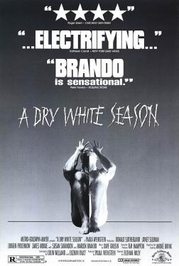 A Dry White Season
