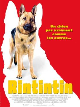 Finding Rin Tin Tin