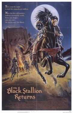 The Black Stallion Returns