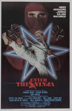 Enter the Ninja