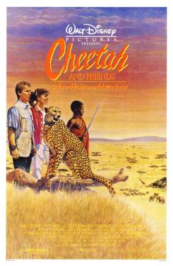 Cheetah