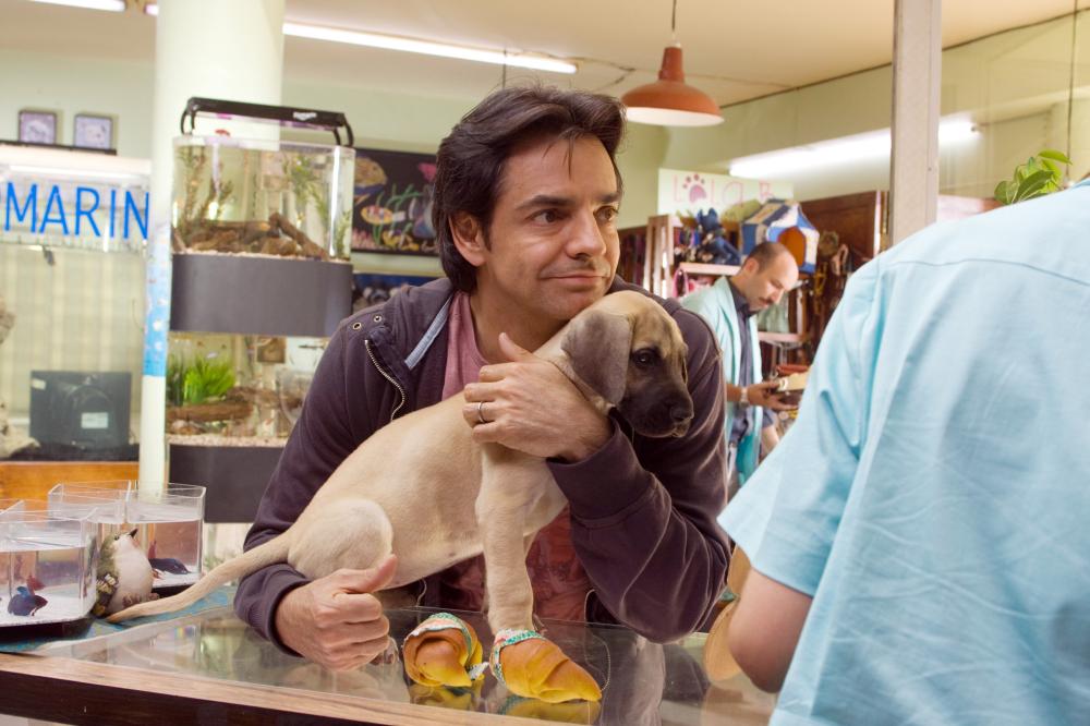 NO ERES TU, SOY YO, Eugenio Derbez, 2010. ©Lions Gate