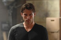 Red Widow, Wil Traval, 'The Escape', Season 1, Ep. #4, 03/17/2013, ©ABC