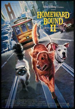 Homeward Bound II: Lost in San Francisco
