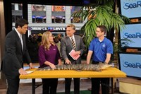 Good Morning America, Josh Elliott (L), Sam Champion (R), 11/03/1975, ©ABC