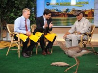 Good Morning America, Sam Champion (L), Josh Elliott (R), 11/03/1975, ©ABC