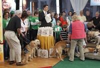 Good Morning America, Josh Elliott, 11/03/1975, ©ABC