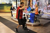 Good Morning America, from left: Sam Champion, Josh Elliott, George Stephanopoulos, Lara Spencer, 11/03/1975, ©ABC