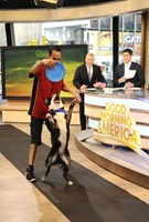 Good Morning America, Sam Champion (L), Josh Elliott (R), 11/03/1975, ©ABC