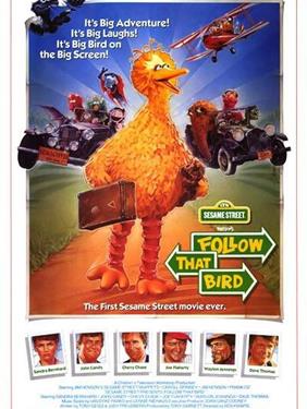 Follow That Bird - A Family Favourites Presentation