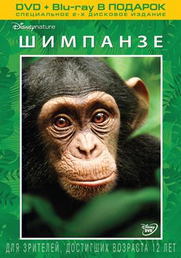 Chimpanzee - Disney Nature