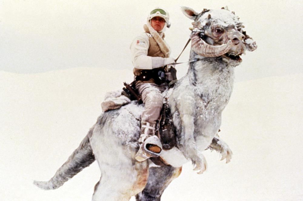 THE EMPIRE STRIKES BACK, Mark Hamill riding a tautaun, 1980, Lucasfilms /